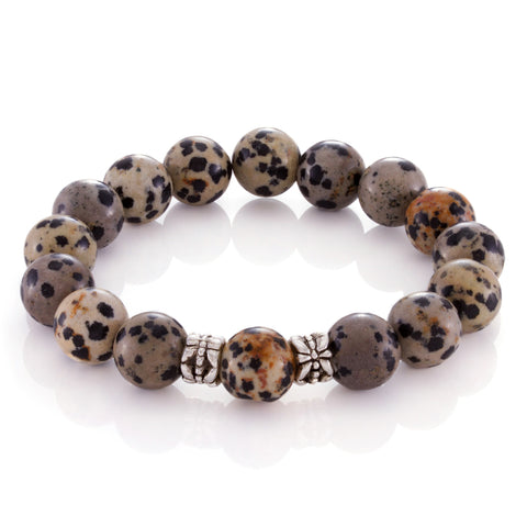 The Hyena Band